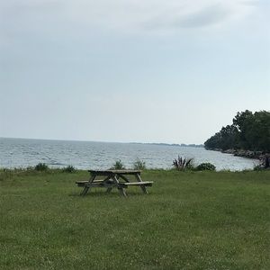 Meet your Posher, Mona